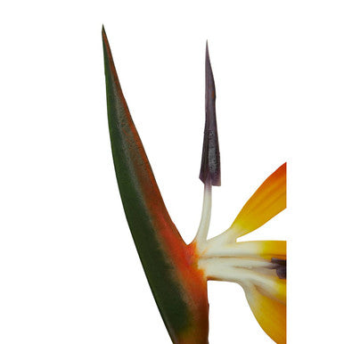 Tall Bird Of Paradise Flower Stem | Fiori Artificial flowers