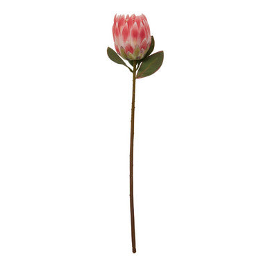 Pink Protea Flower Stem | Fiori Artificial flowers
