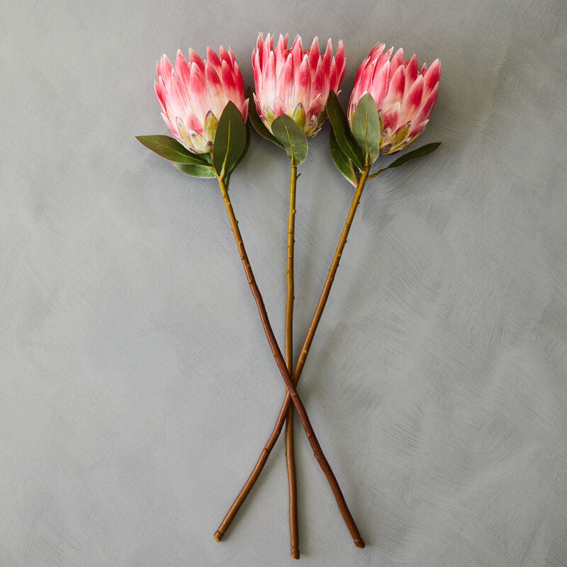 Pink Protea Flower Stem | Fiori Artificial flowers