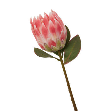 Pink Protea Flower Stem | Fiori Artificial flowers