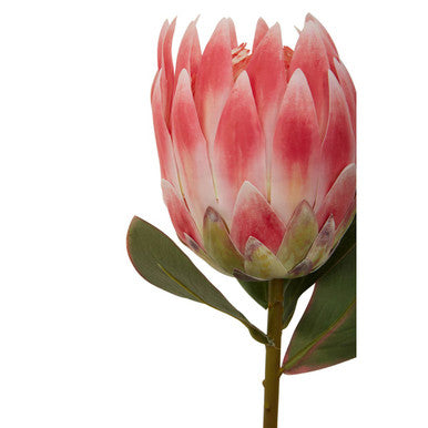 Pink Protea Flower Stem | Fiori Artificial flowers