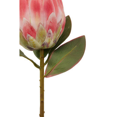 Pink Protea Flower Stem | Fiori Artificial flowers