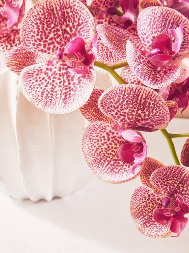 Tall Pink Orchid Spray Flower Stem | Fiori Artificial flowers