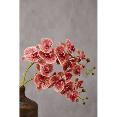Tall Pink Orchid Spray Flower Stem | Fiori Artificial flowers