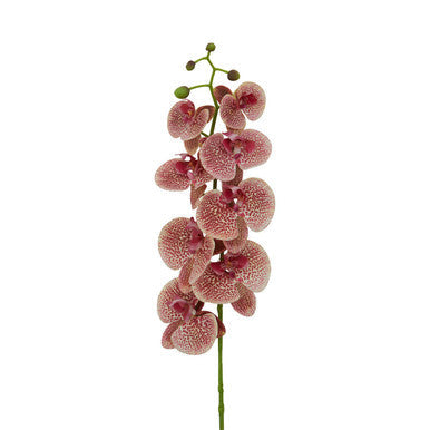 Tall Pink Orchid Spray Flower Stem | Fiori Artificial flowers
