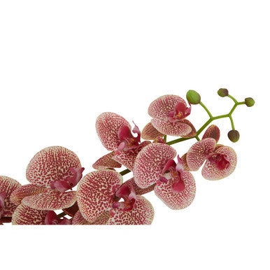 Tall Pink Orchid Spray Flower Stem | Fiori Artificial flowers