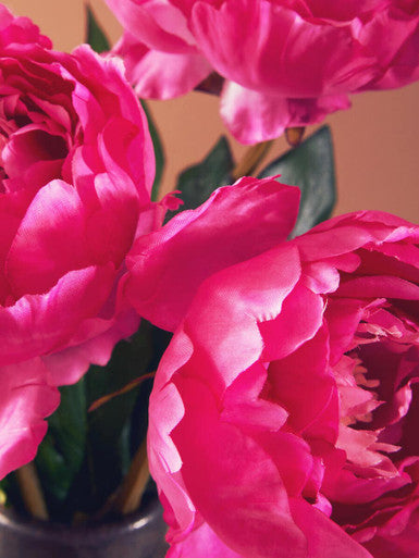 Fuchsia Peony Flower Stem | Fiori Artificial flowers