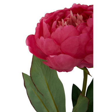 Fuchsia Peony Flower Stem | Fiori Artificial flowers