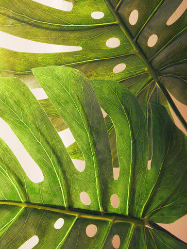 Tall Monstera Palm Stem | Fiori Artificial flowers
