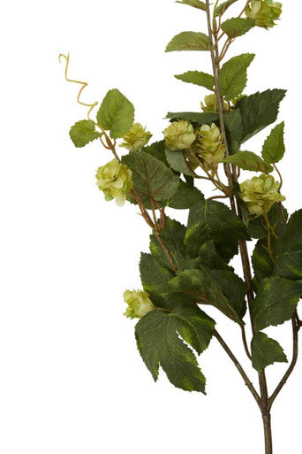 Green Hop Flower Spray Stem | Fiori Artificial flowers