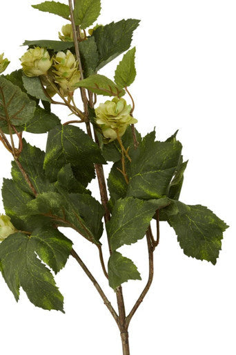 Green Hop Flower Spray Stem | Fiori Artificial flowers