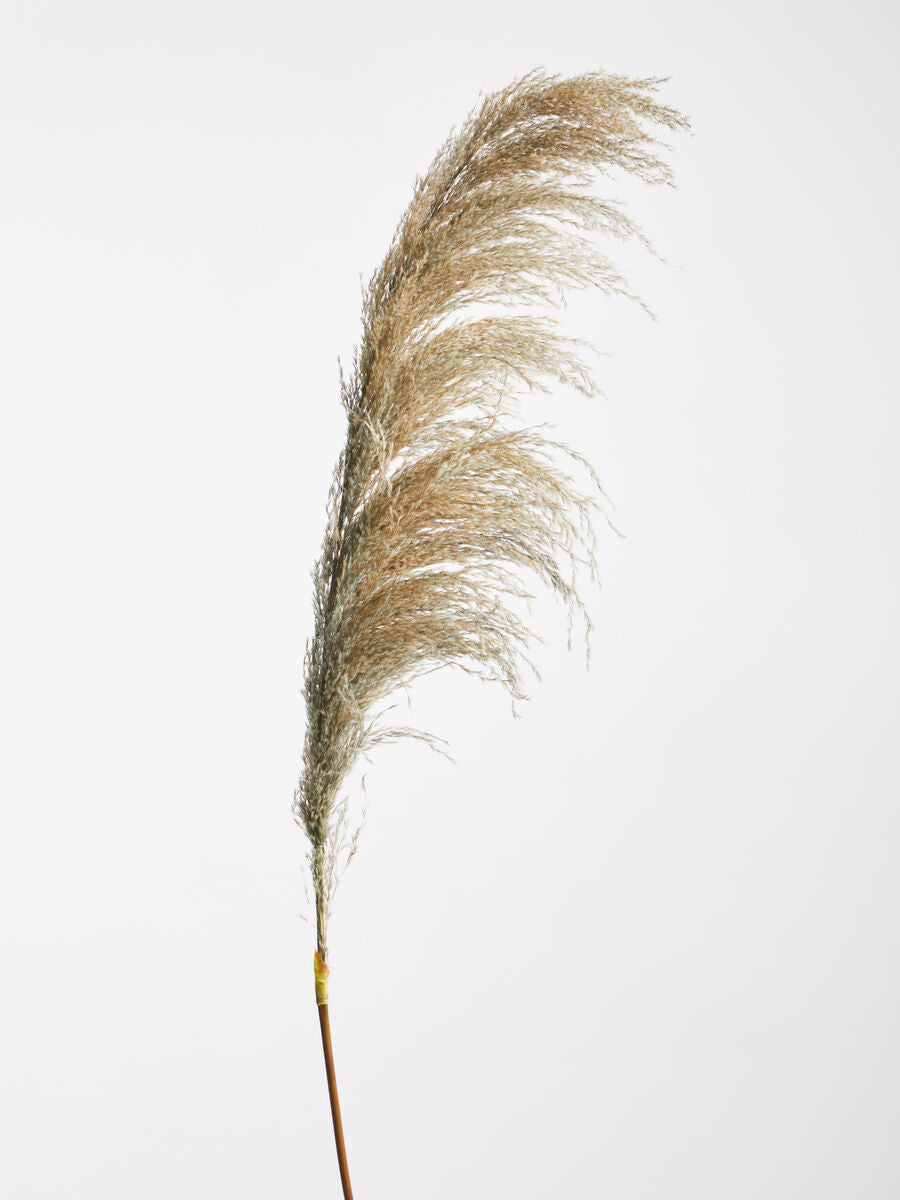 Blue Tall Pampas Grass Stem | Fiori Artificial flowers