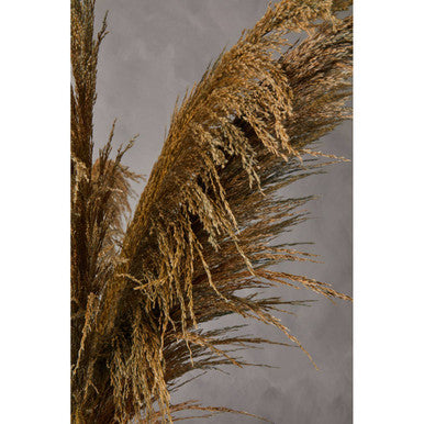 Blue Tall Pampas Grass Stem | Fiori Artificial flowers