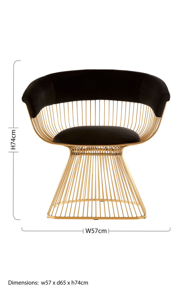 Vogue Black Velvet Chair with Gold Finish Frame