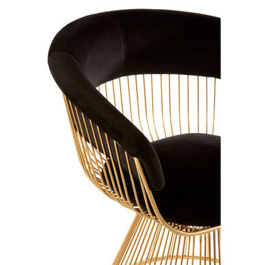 Vogue Black Velvet Chair with Gold Finish Frame