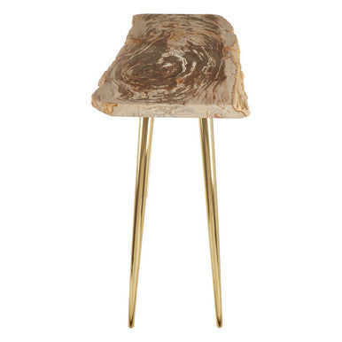 Relic Natural Petrified Wood and Brass Finish Console Table