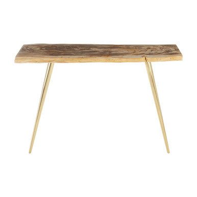 Relic Natural Petrified Wood and Brass Finish Console Table