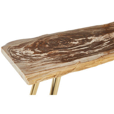 Relic Natural Petrified Wood and Brass Finish Console Table