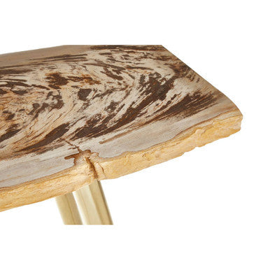 Relic Natural Petrified Wood and Brass Finish Console Table