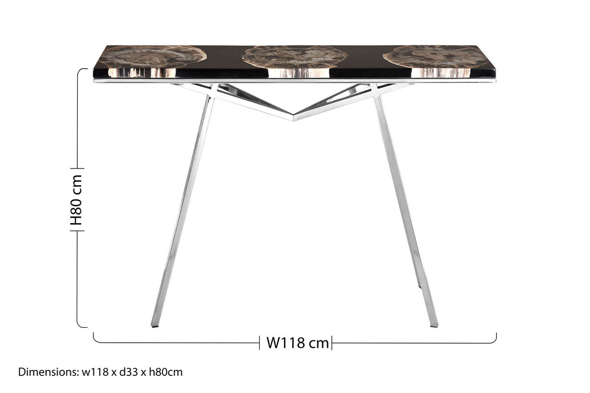 Relic Black Petrified Wood and Resin Console Table