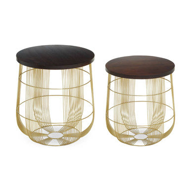 Agra Mango Wood and Brass Finish Set of 2 Side Tables