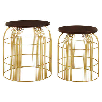 Agra Mango Wood and Brass Finish Set of 2 Side Tables