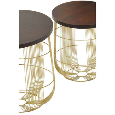 Agra Mango Wood and Brass Finish Set of 2 Side Tables