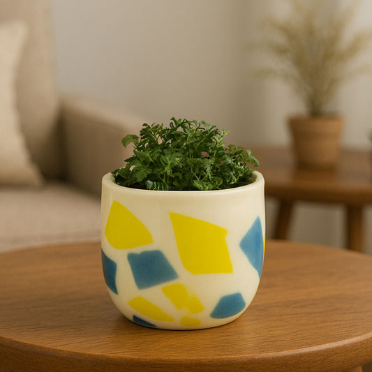 Abstract Design Glass Planter | Carra