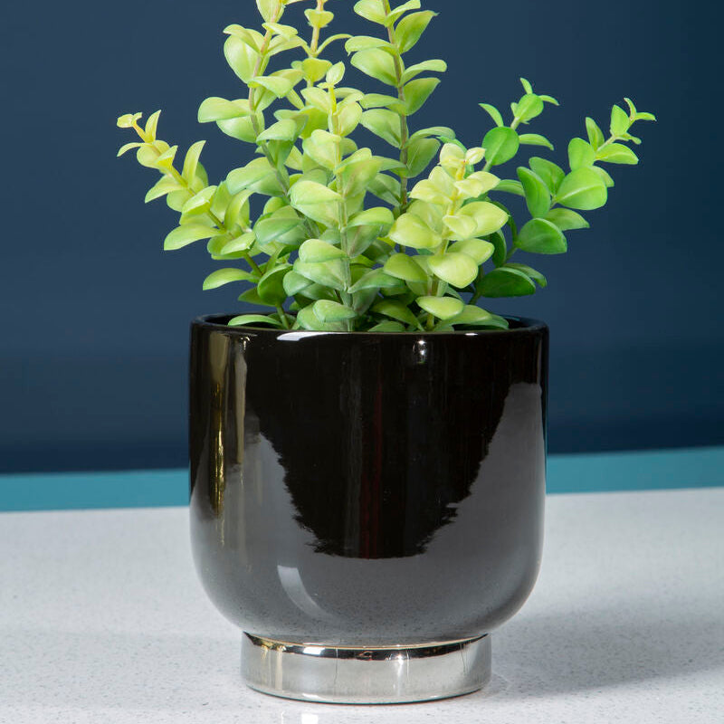 Black Small Planter with Silver Finish Base | Callie