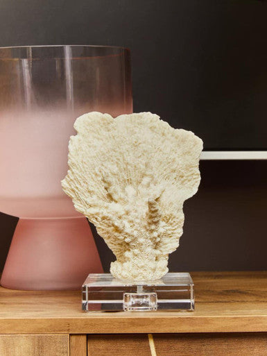 Large Matte Pink Glass Vase | Baila