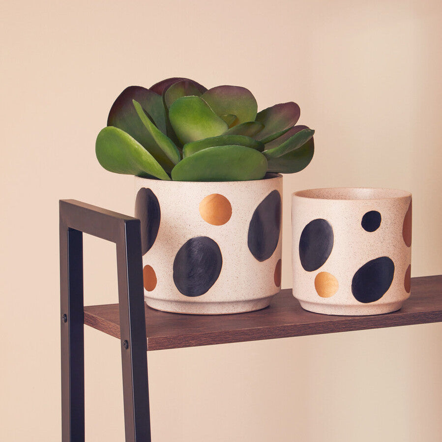 White and Gold Spotted Planter | Yuri