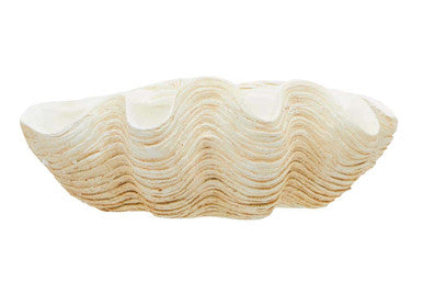 Large Clam Shell Bowl | Byron