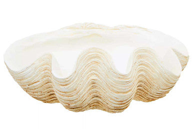 Large Clam Shell Bowl | Byron