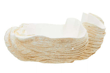 Large Clam Shell Bowl | Byron