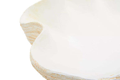 Large Clam Shell Bowl | Byron