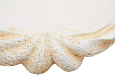Large Clam Shell Bowl | Byron