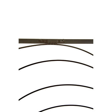 Small Black Metal Frame Leaf Design Wall Art | Trento