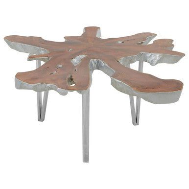 Silver Teak Wood Star Top Coffee Table with Steel Legs | Surak