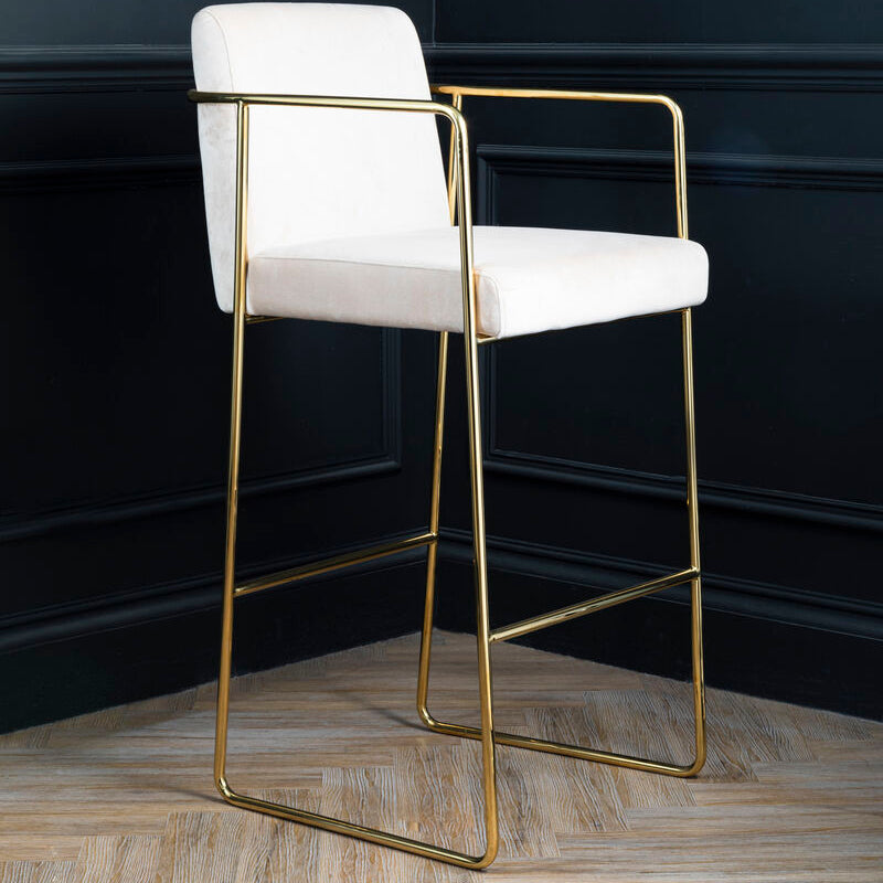 Piermount Mink Velvet Bar Stool