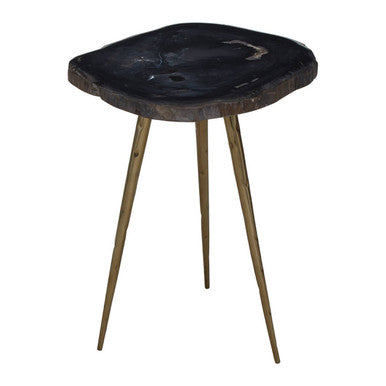 Relic Dark Petrified Wood and Brass Finish Beveled Edge Side Table