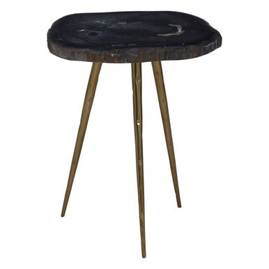 Relic Dark Petrified Wood and Brass Finish Beveled Edge Side Table