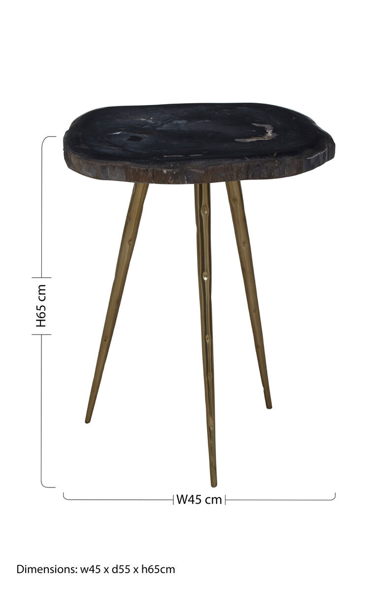 Relic Dark Petrified Wood and Brass Finish Beveled Edge Side Table