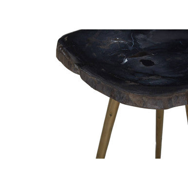 Relic Dark Petrified Wood and Brass Finish Beveled Edge Side Table