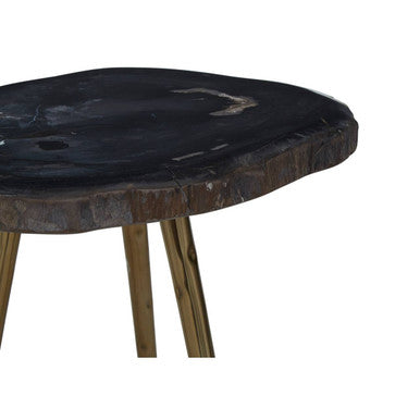 Relic Dark Petrified Wood and Brass Finish Beveled Edge Side Table