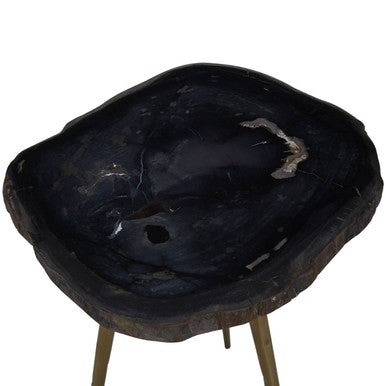 Relic Dark Petrified Wood and Brass Finish Beveled Edge Side Table