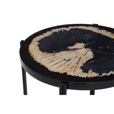 Relic Petrified Wood and Black Resin Side Table