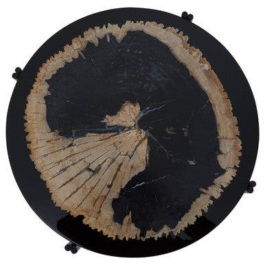 Relic Petrified Wood and Black Resin Side Table
