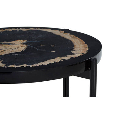 Relic Petrified Wood and Black Resin Side Table