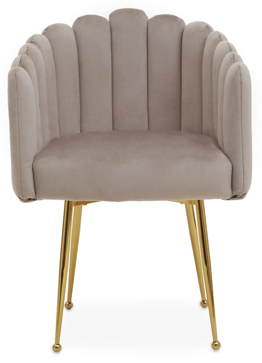 Bari Mink Velvet Scalloped Dining Chair with Gold Finish Legs