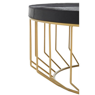 Kensington Townhouse Black Hair on Leather Coffee Table with Gold Frame